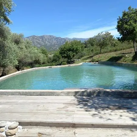 Le Moulin De L'ostriconi Novella