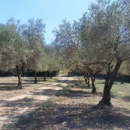 Le Moulin De L'ostriconi