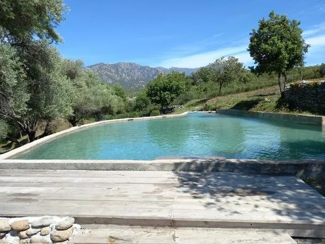 Le Moulin De L'ostriconi Novella