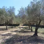 Le Moulin De L'ostriconi