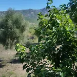 Le Moulin De L'ostriconi וילה