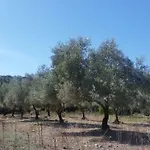 Le Moulin De L'ostriconi Novella