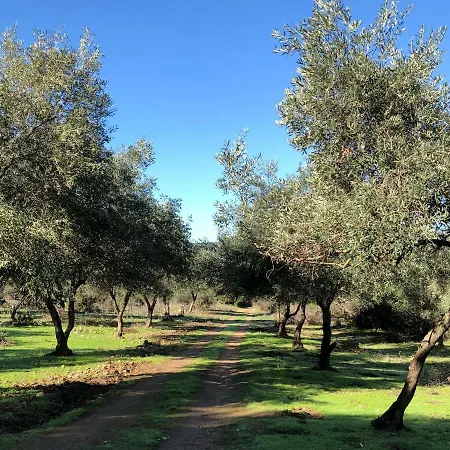 Le Moulin De L'ostriconi *