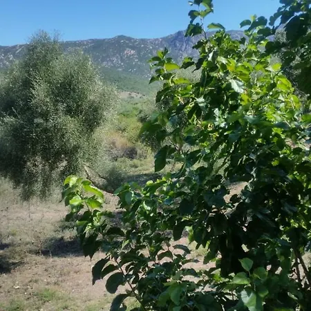 Le Moulin De L'ostriconi 别墅