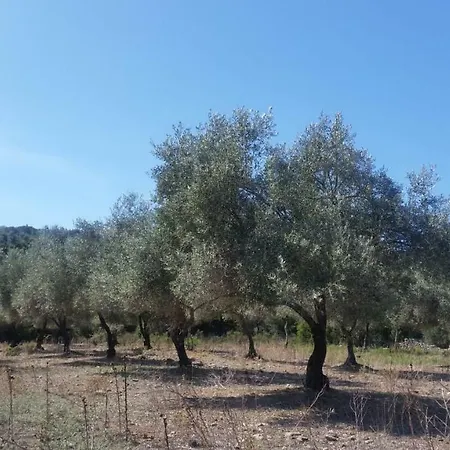 Le Moulin De L'ostriconi Novella
