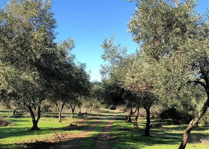 Le Moulin De L'ostriconi *