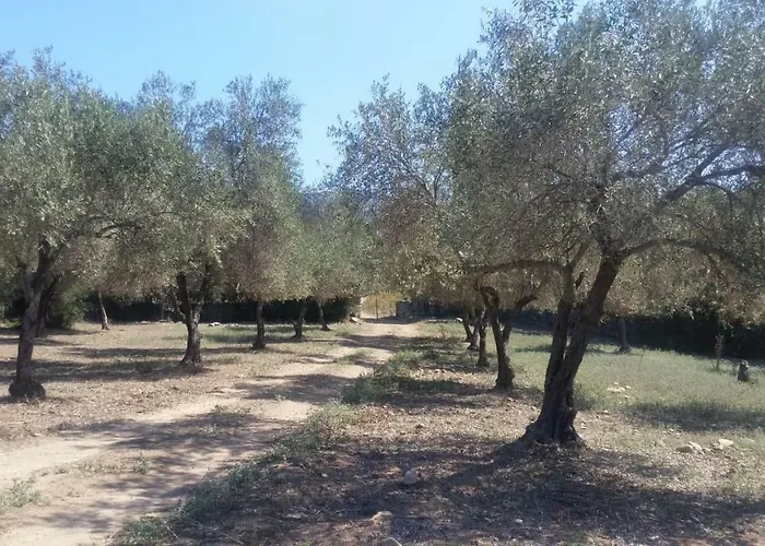 Le Moulin De L'ostriconi