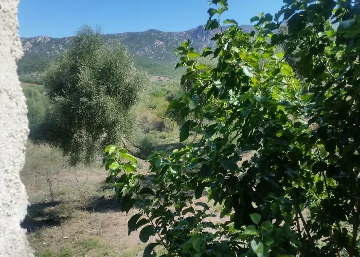 Le Moulin De L'ostriconi Villa