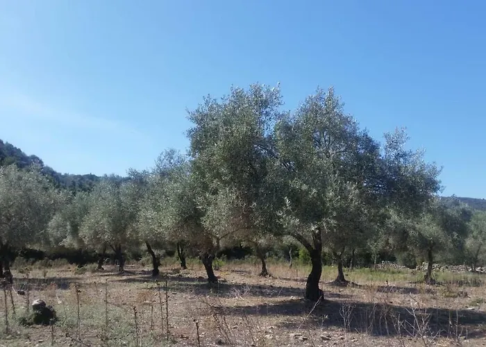 Le Moulin De L'ostriconi Novella